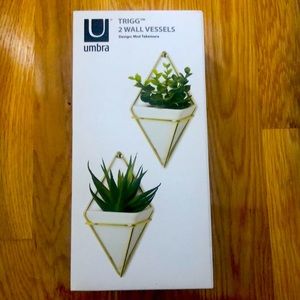 Umbra Trigg Hanging Wall Planters